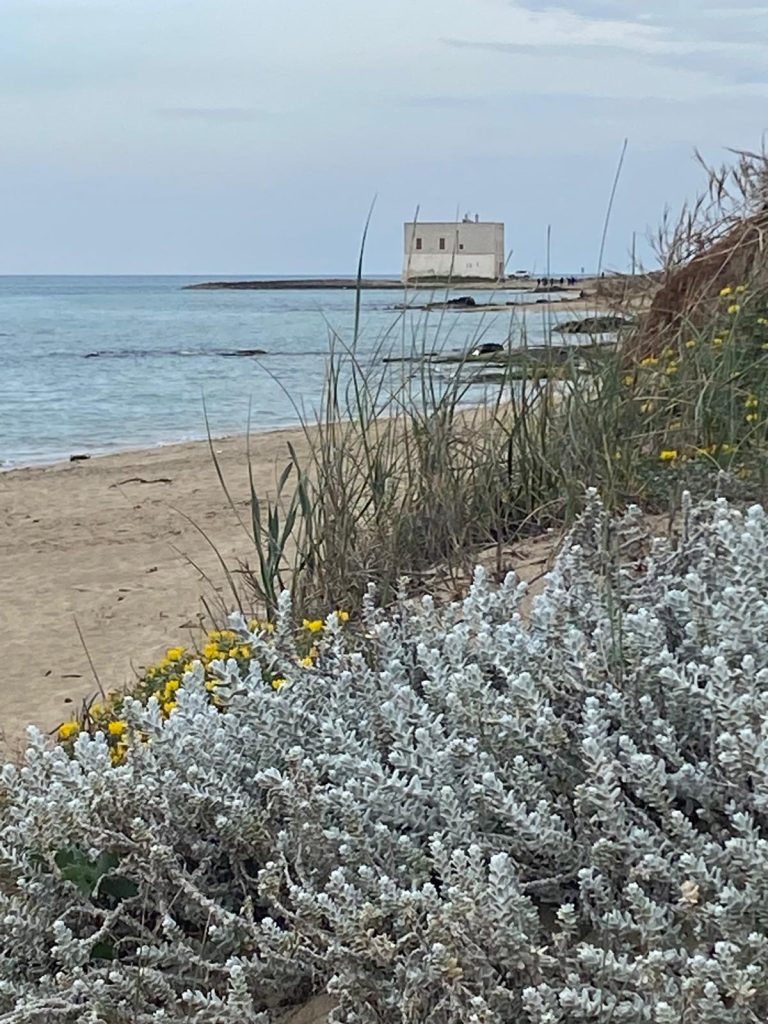 La nostra terra 2 scorcio-santa-sabina