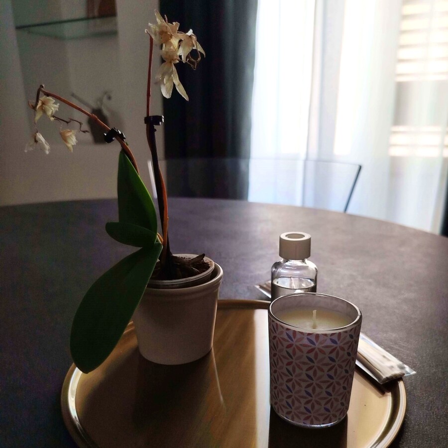 detail-furniture-flower-candle