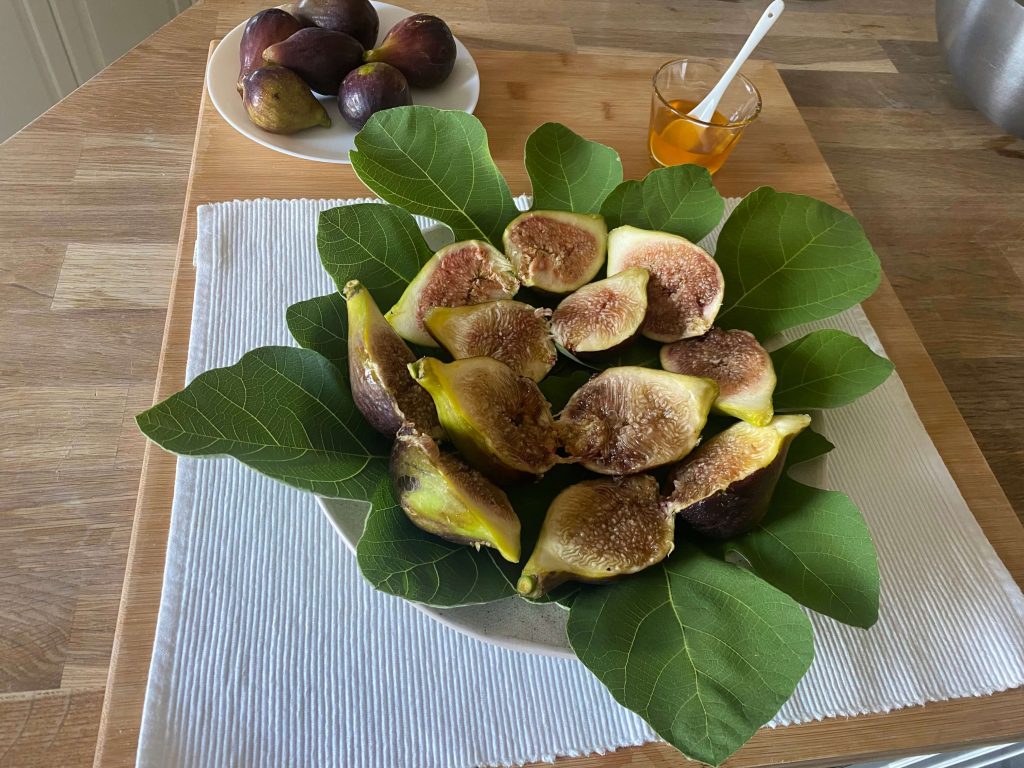 fichi-colazione